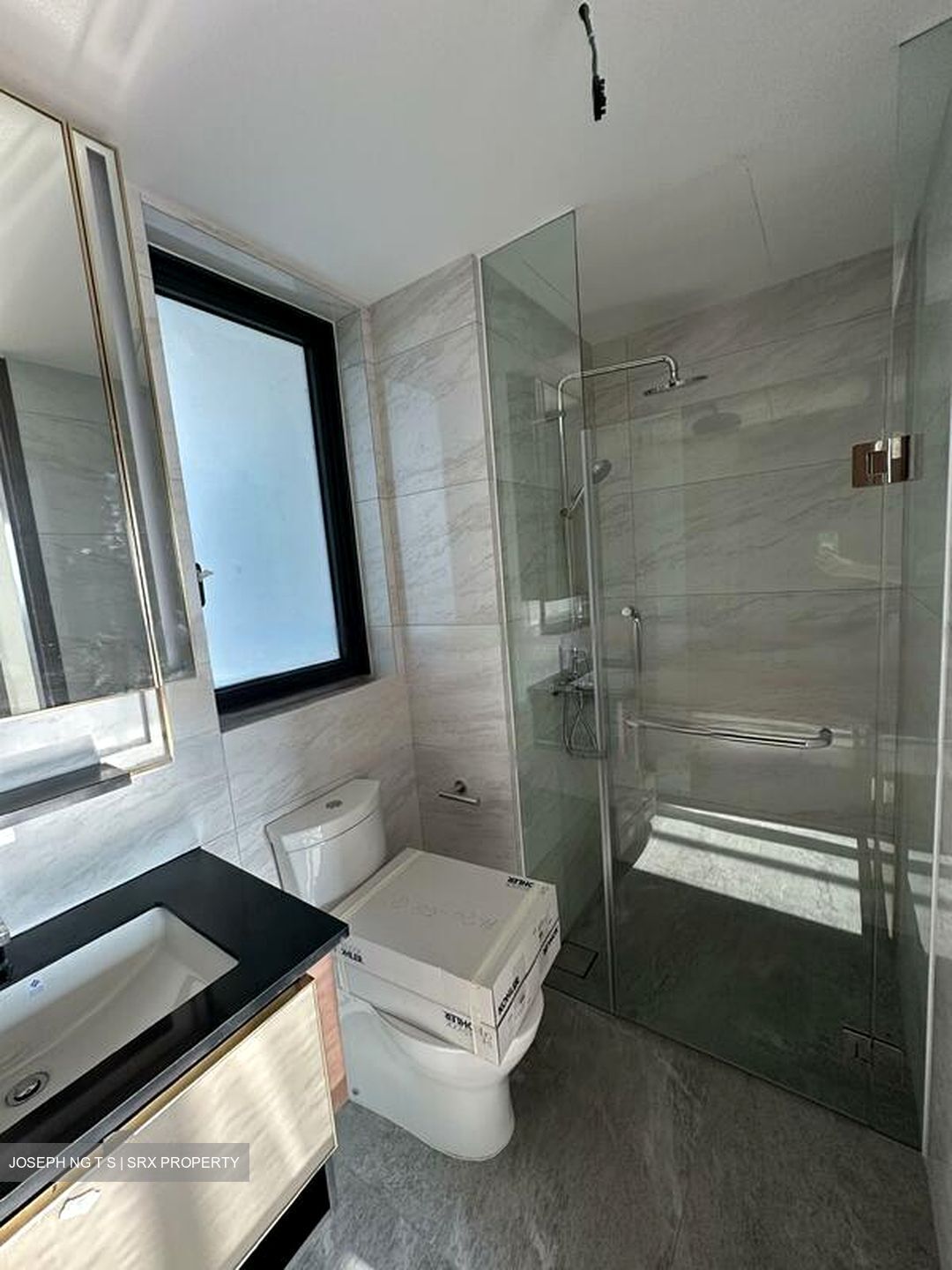Normanton Park (D5), Apartment #555777871